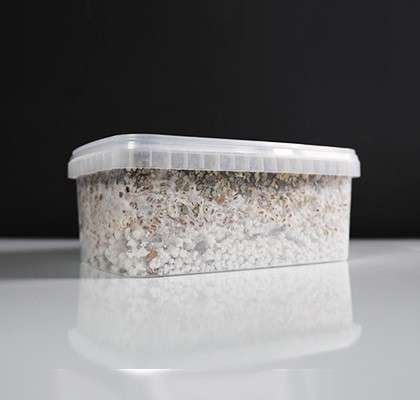 Golden Teacher Paddo Growkit - Image 3